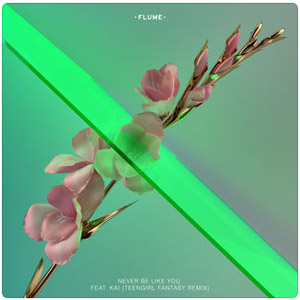 Disco Never Be Like You  [Teengirl Fantasy Remix]  de Flume