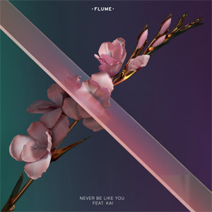 Disco Never Be Like You de Flume