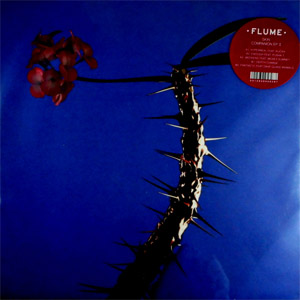 Disco Skin Companion EP II de Flume