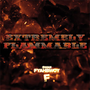 Disco Extremely Flammable de Fyahbwoy