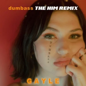Disco Dumbass (The Him Remix) de Gayle