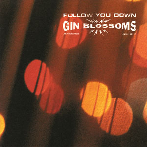 Disco Follow You Down de Gin Blossoms