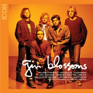 Disco Icon de Gin Blossoms