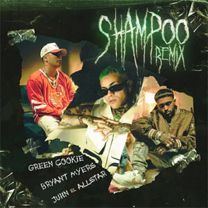 Disco Shampoo (Remix) de Green Cookie