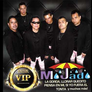 Disco Éxitos VIP de Grupo Mojado