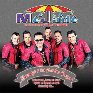 Disco Homenaje a los Grandes Grupos de Grupo Mojado