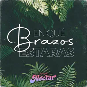 Álbum En Que Brazos Estarás de Grupo Néctar