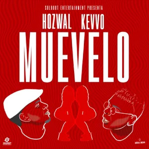 Disco Muévelo de Hozwal