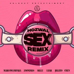 Disco Sex (Remix) de Hozwal