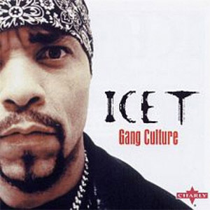Disco Gang Culture de Ice-T
