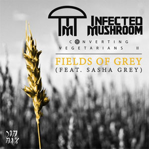 Disco Fields Of Grey de Infected Mushroom