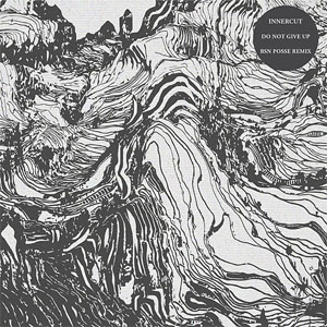 Disco Do Not Give Up (BSN Posse Remix) de InnerCut