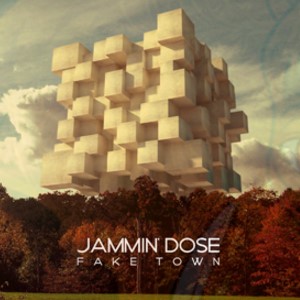 Disco Fake Town de Jammin' Dose