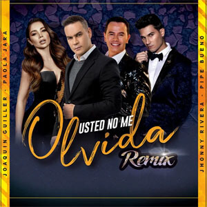 Disco Usted No Me Olvida (Remix) de Joaquin Guiller