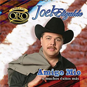 Disco Amigo Mío Y Muchos Éxitos Más de Joel Elizalde