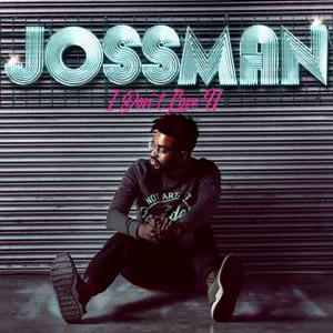 Disco I Don't Love U de Jossman