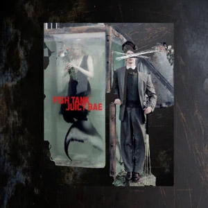 Disco Fish Tank de Juicy BAE