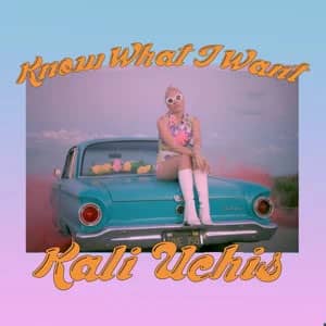Disco Know What I Want de Kali Uchis