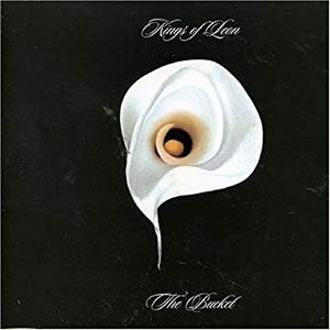Disco The Bucket  de Kings of Leon