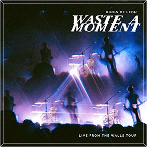 Disco Waste a Moment (Live) de Kings of Leon