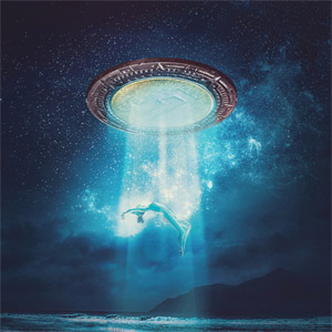 Disco Nada Vale Mas Que Tú de Kinky