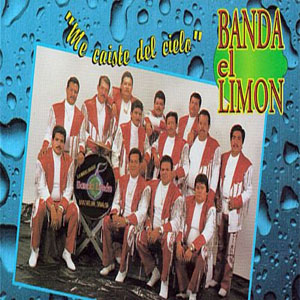 Disco Me Caíste Del Cielo de La Arrolladora Banda el Limón