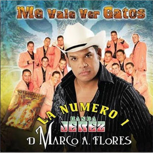 Disco Me Vale Ver Gatos de La Auténtica De Jerez