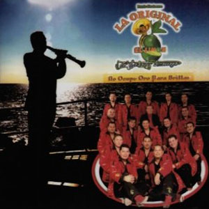 Disco No Ocupo Oro Para Brillar de La Original Banda El Limón