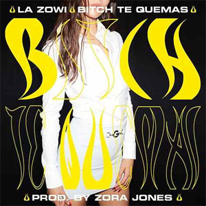 Disco Bitch Te Quemas de La Zowi