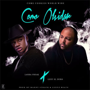 Disco Como Olvidar  de Landa Freak