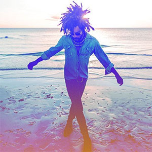 Disco Raise Vibration de Lenny Kravitz