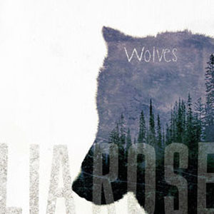 Disco Wolves de Lia Rose