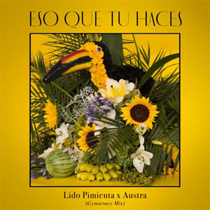 Disco Eso Que Tú Haces (Austra's Gynocracy Mix) de Lido Pimienta