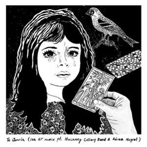 Disco Te Quería (Remix) de Lido Pimienta