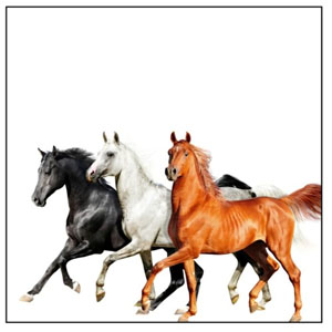 Disco Old Town Road (Diplo Remix) de Lil Nas X