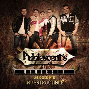 Disco Indestructible de Los Adolescentes