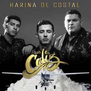 Disco Harina De Costal de Los Caliz