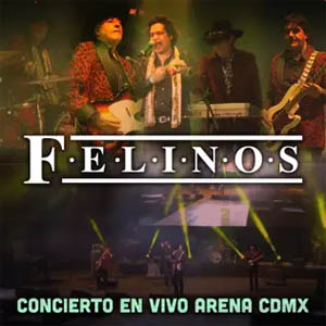 Disco Concierto (En Vivo Arena CDMX) de Los Felinos