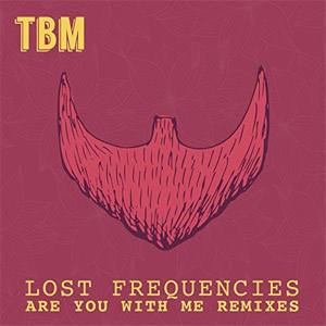 Disco Are You With Me (Remixes) de Lost Frequencies