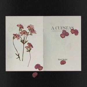 Álbum A Cuestas de Marc Seguí