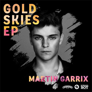Disco Gold Skies Ep de Martin Garrix