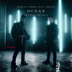 Disco Ocean (Remixes Vol. 1) de Martin Garrix
