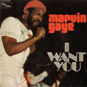 Disco I Want You de Marvin Gaye