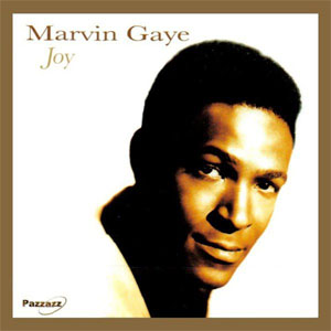 Disco Joy de Marvin Gaye