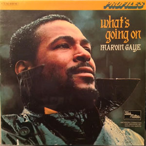 Disco Profiles de Marvin Gaye