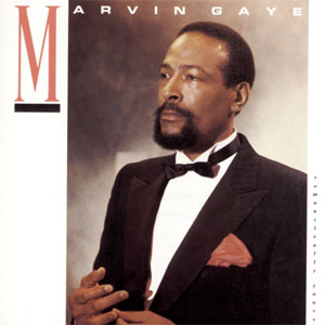 Disco Romantically Yours de Marvin Gaye