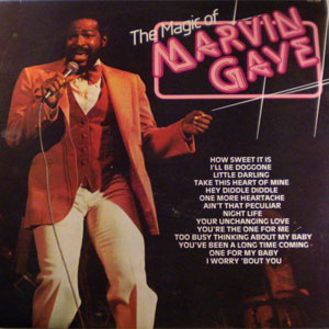 Disco The Magic Of Marvin Gaye de Marvin Gaye