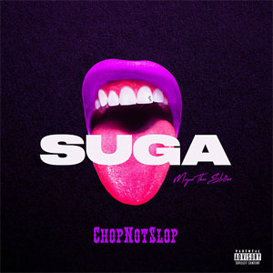 Disco Suga (Chopnotslop Remix) de Megan Thee Stallion