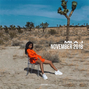 Disco November 2018  de Mila J