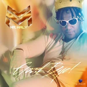 Disco Good Bye de Mr. Maly